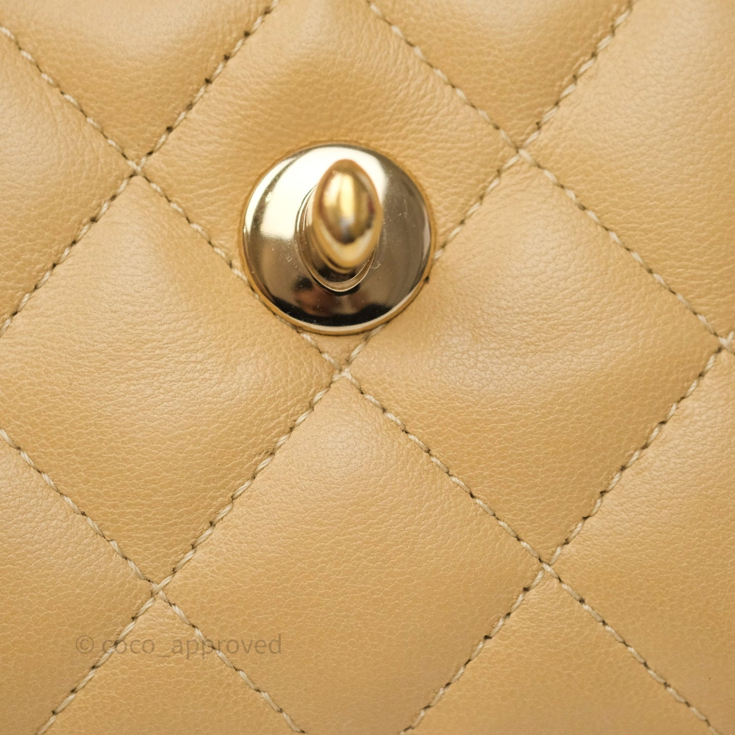 Chanel Coco Vintage Camera Case Beige Calfskin Gold Hardware