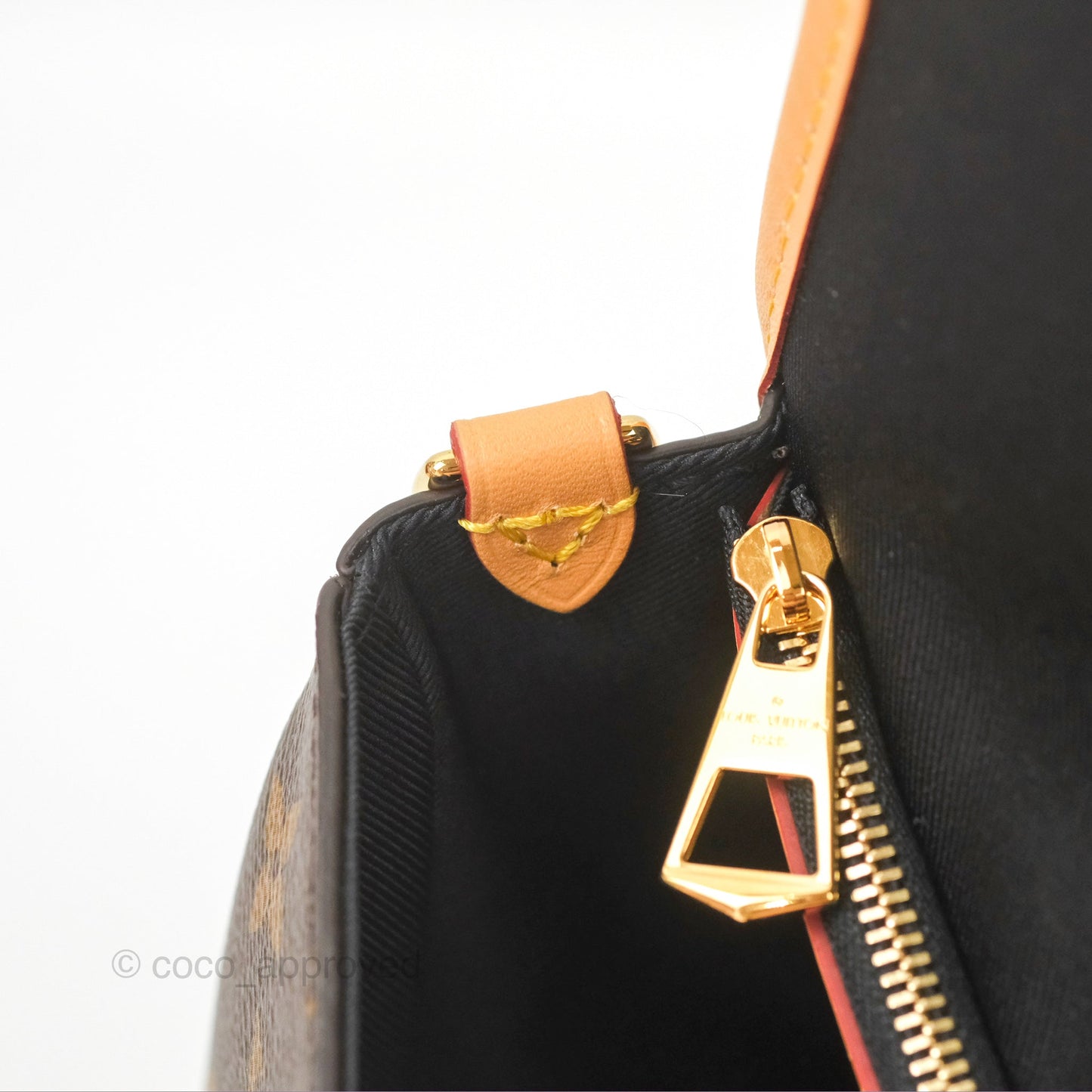 Louis Vuitton Diane Bag Monogram Canvas with Jacquard Strap