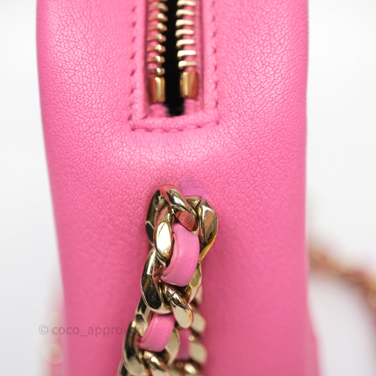 Chanel Camera Bag Pink Calfskin Aged Gold Hardware