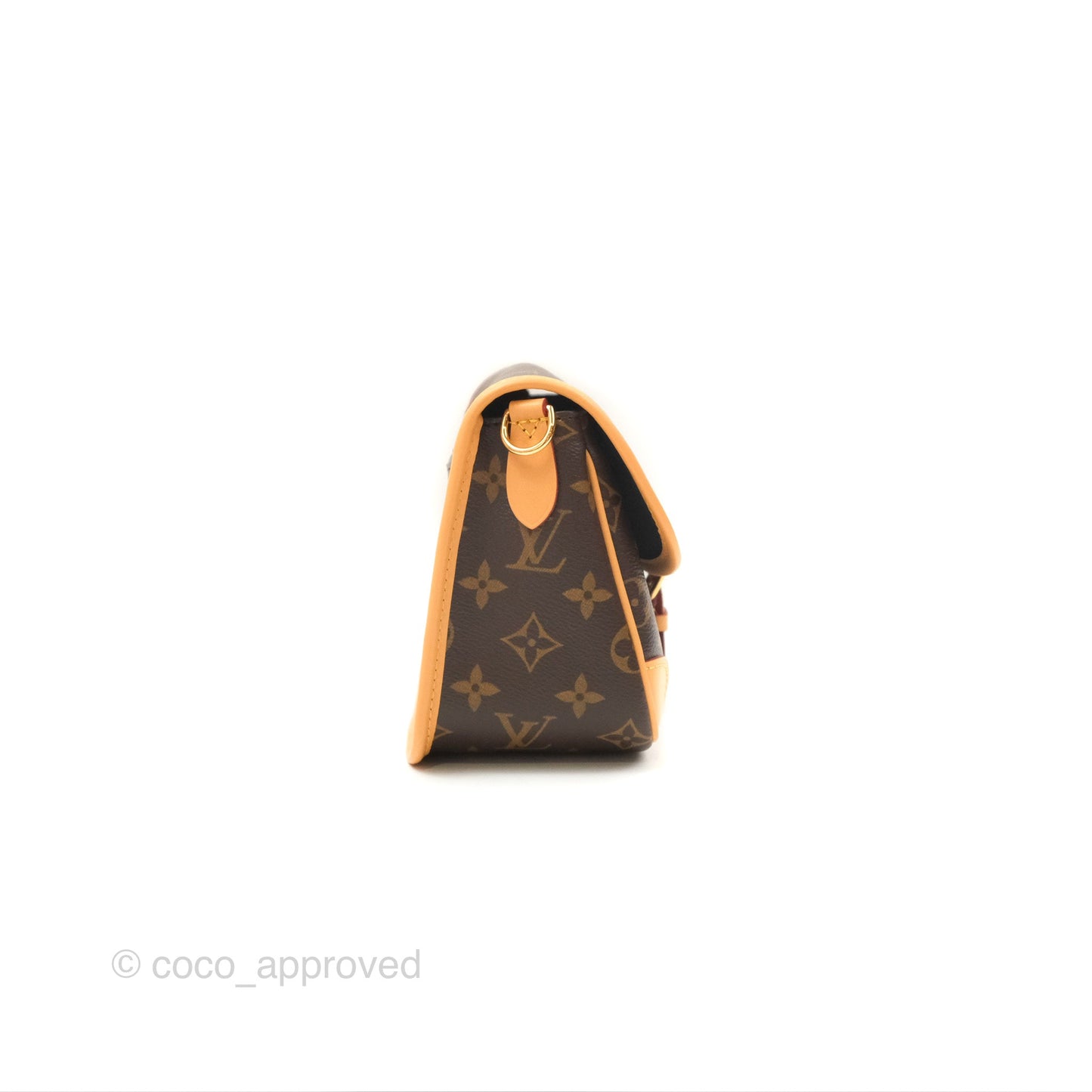 Louis Vuitton Diane Bag Monogram Canvas with Jacquard Strap