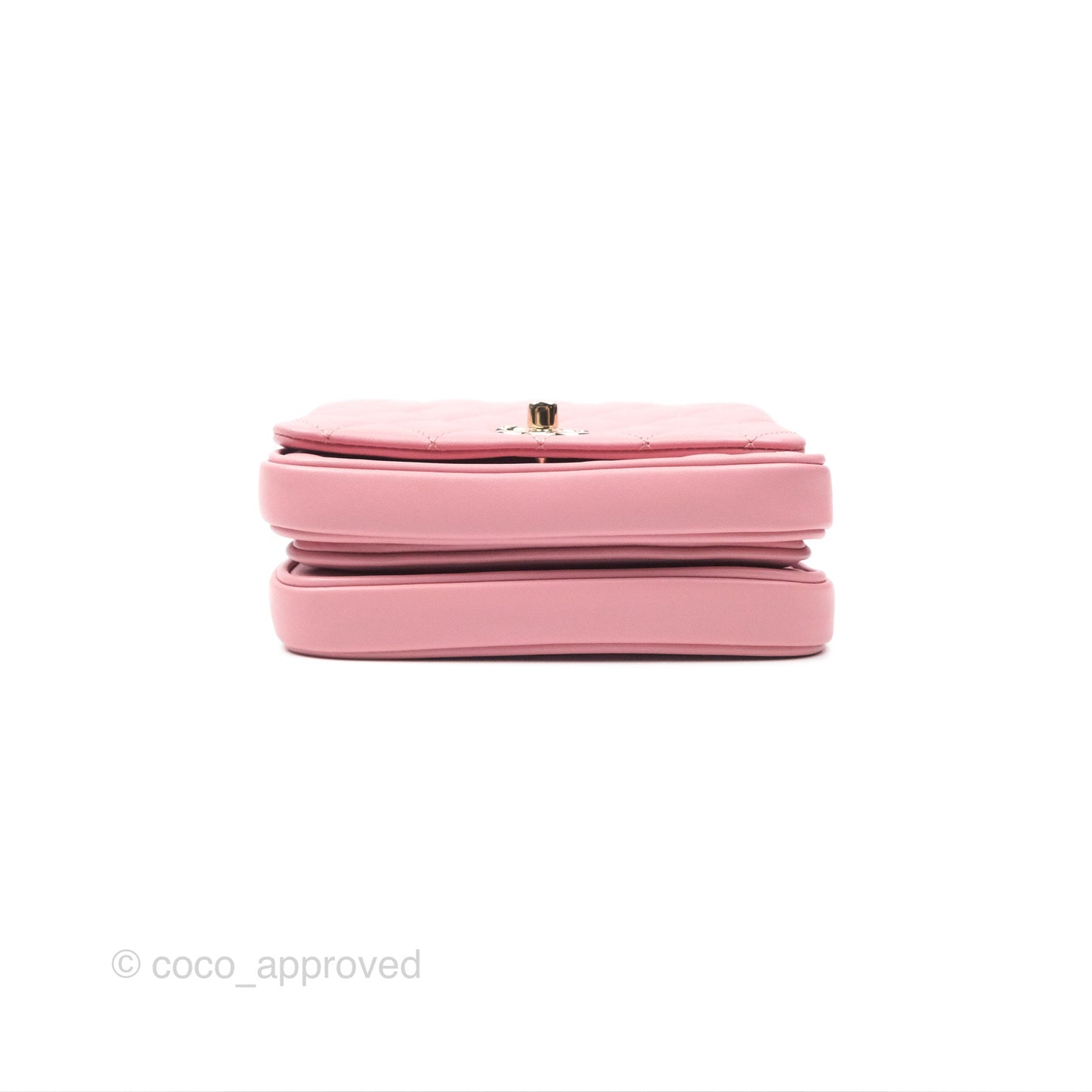 Chanel Citizen Chic Flap Bag Pink Lambskin Gold Hardware
