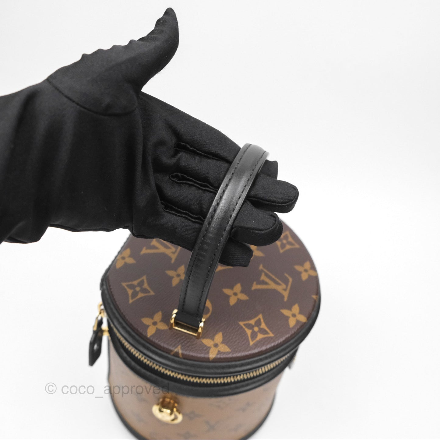Louis Vuitton Monogram Canvas Reverse Cannes Bag