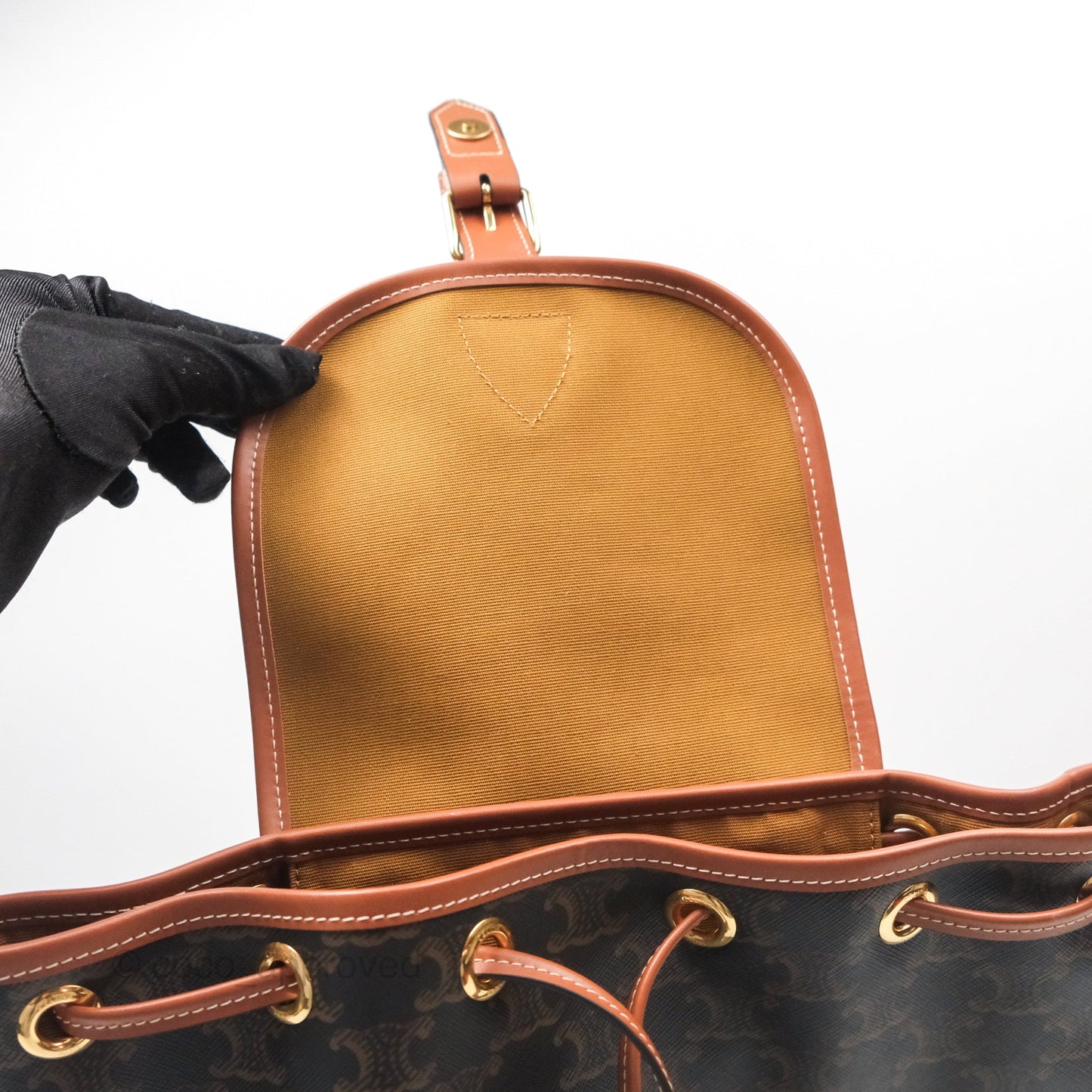 Celine Medium Folco Backpack in Triomphe Canvas Calfskin