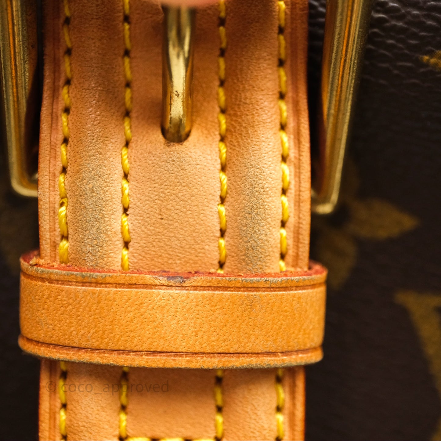 Louis Vuitton Multipli-Cite Tote Monogram Canvas