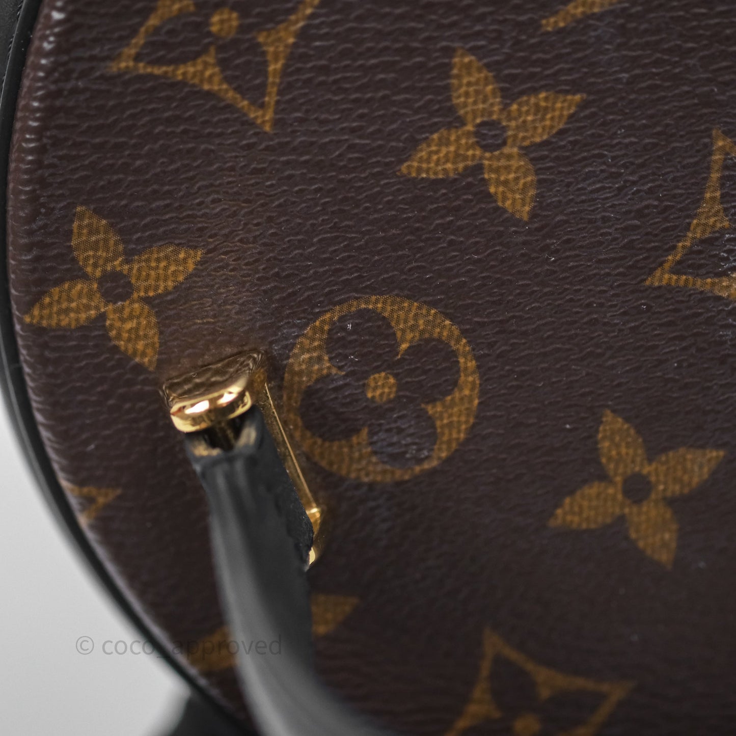 Louis Vuitton Monogram Canvas Reverse Cannes Bag
