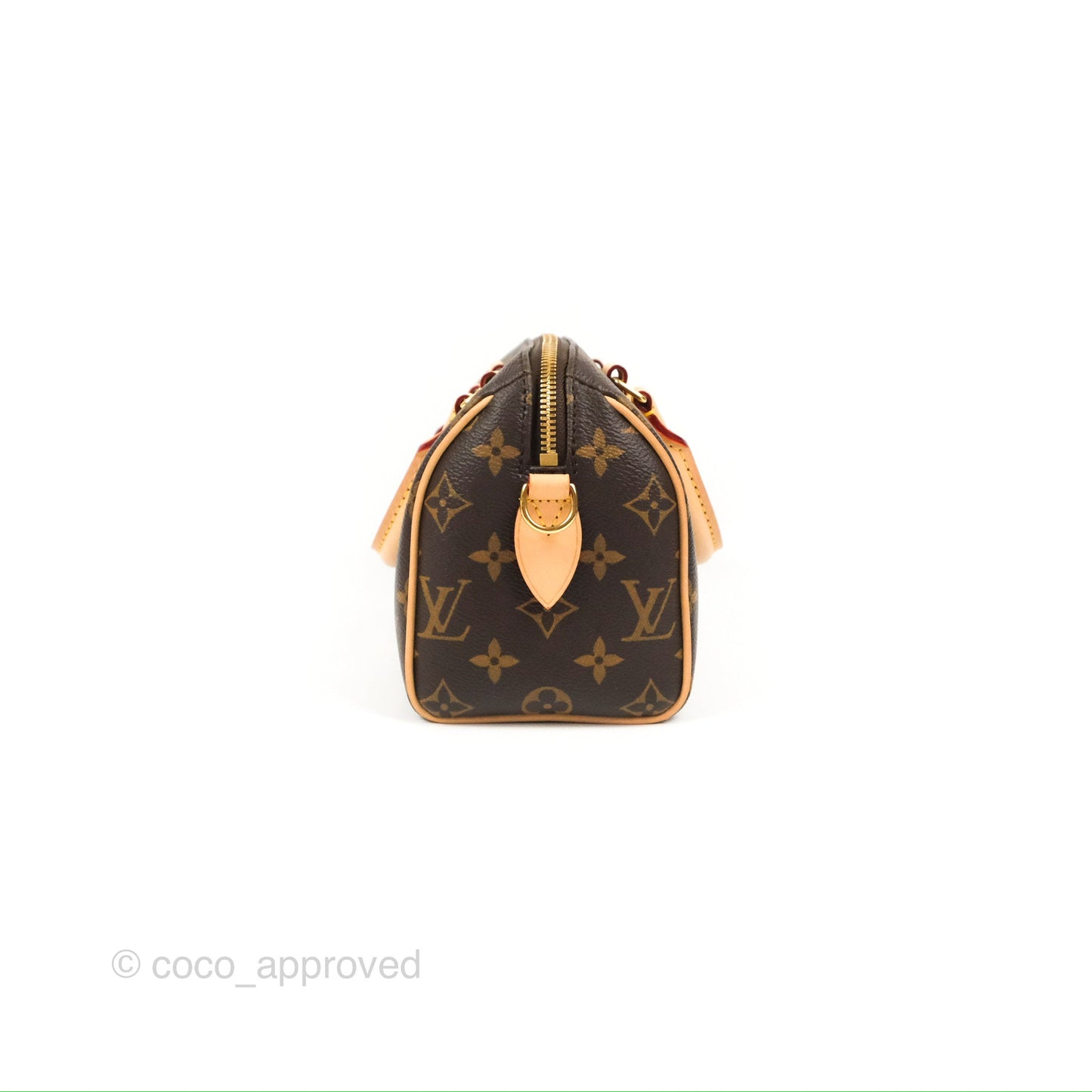 Louis Vuitton Speedy Bandoulière 20 Monogram