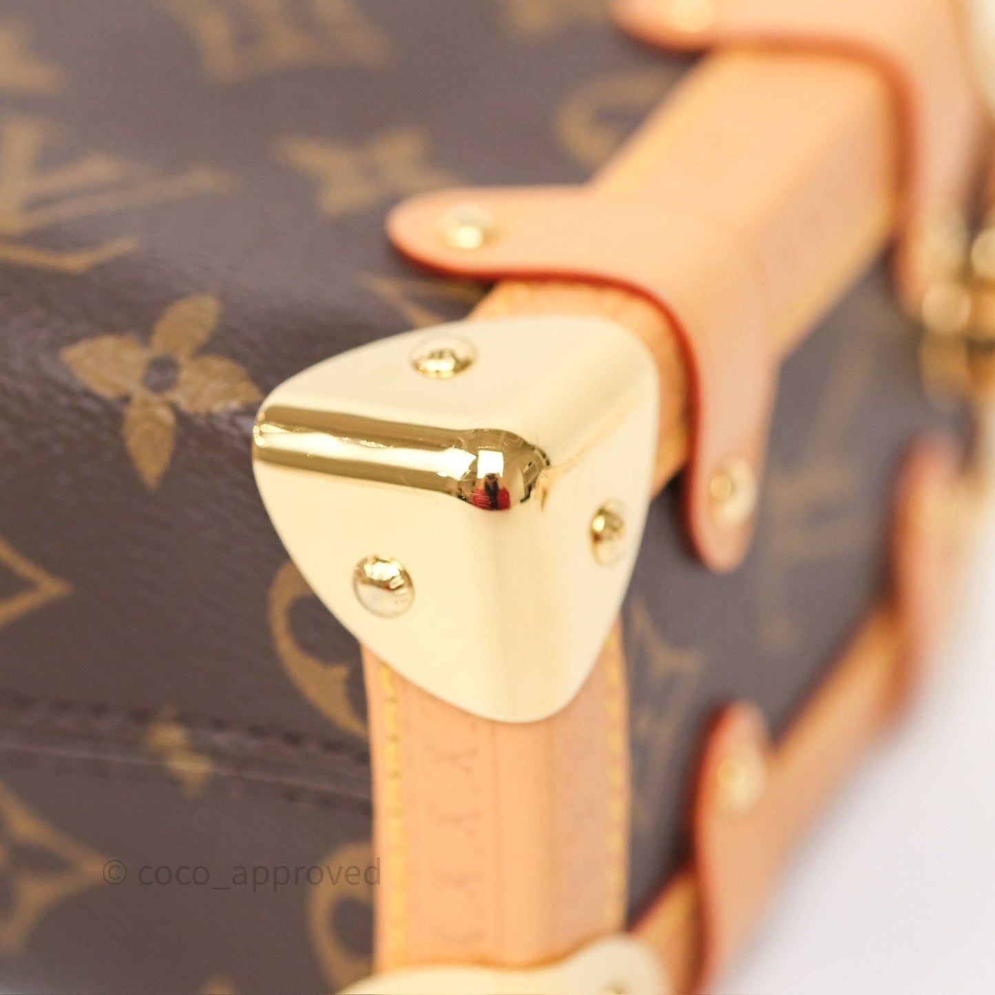 Louis Vuitton Side Trunk PM Monogram Canvas