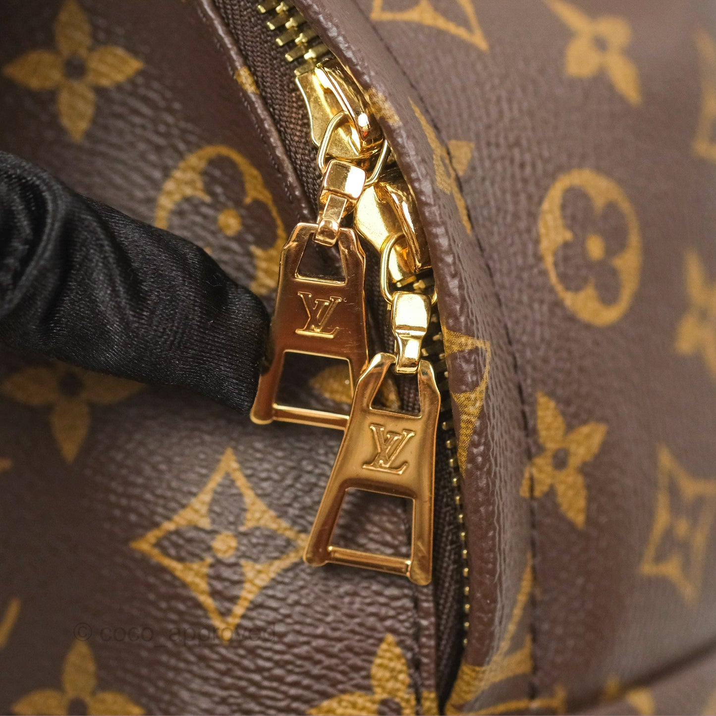 Louis Vuitton Palm Springs Backpack⁣ Monogram PM