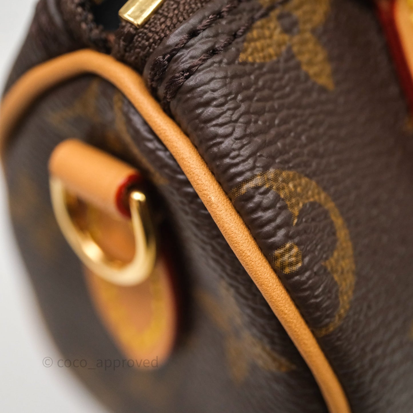Louis Vuitton Nano Speedy Monogram