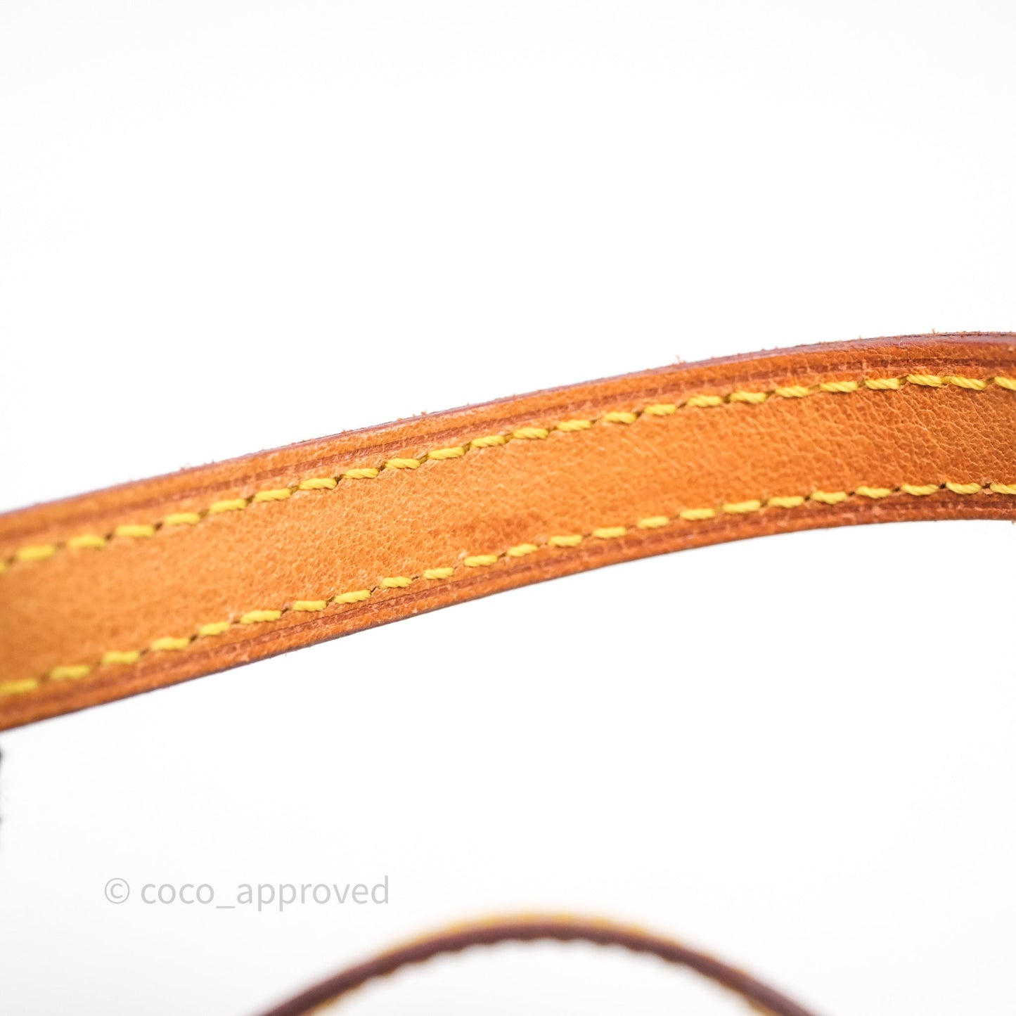 Louis Vuitton Monogram Spontini 2way Bag