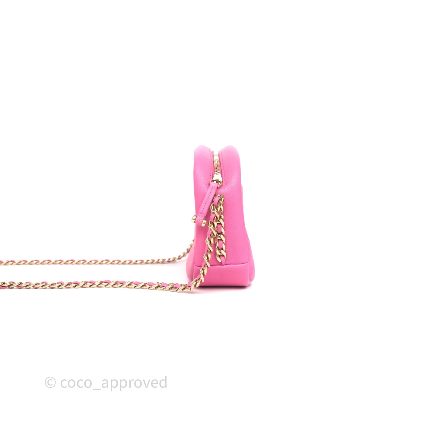 Chanel Camera Bag Pink Calfskin Aged Gold Hardware