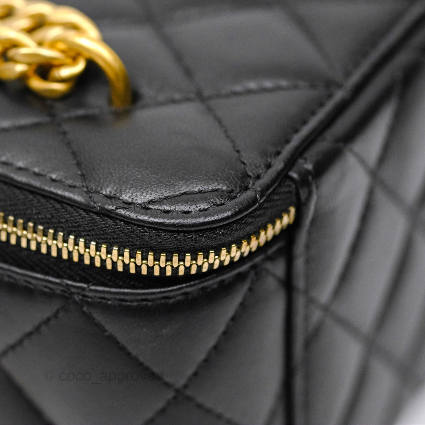 Chanel Quilted Vanity Rectangular with Camellia Adjustable Chain Black Lambskin 23S