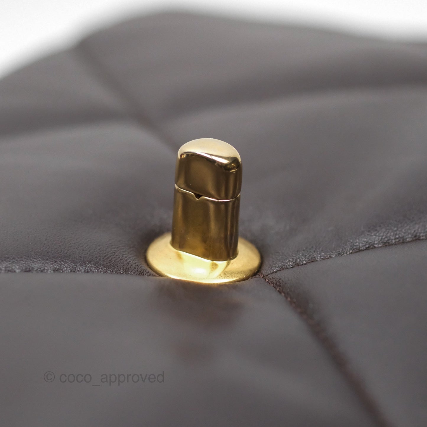 Chanel 19 Medium Dark Brown Mixed Hardware
