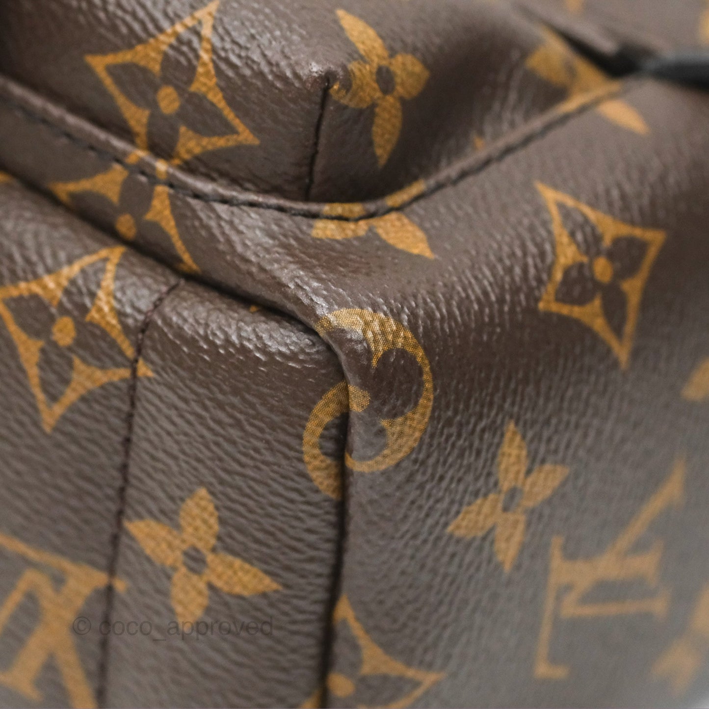 Louis Vuitton Mini Palm Springs Backpack⁣ Monogram Canvas
