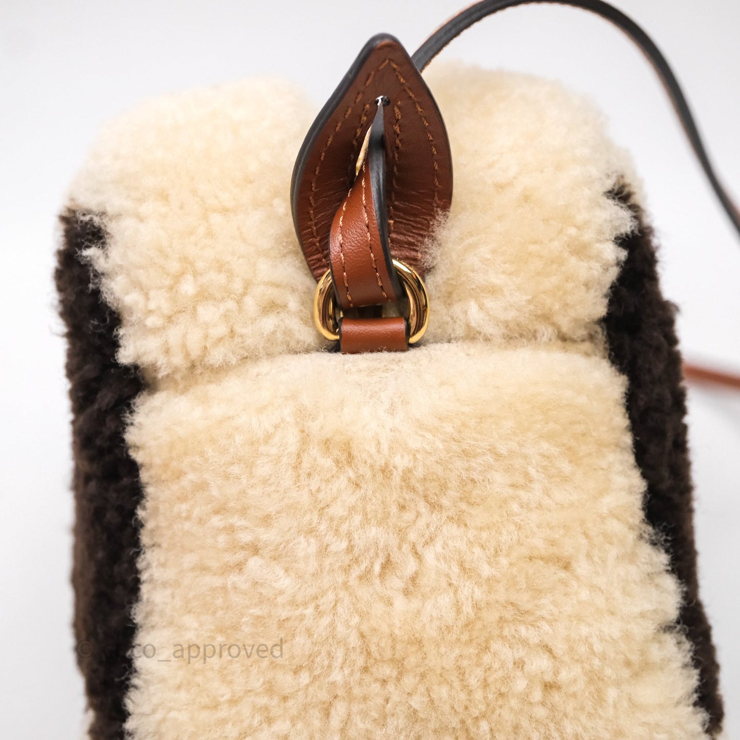 Louis Vuitton Teddy Beach Pouch Monogram
