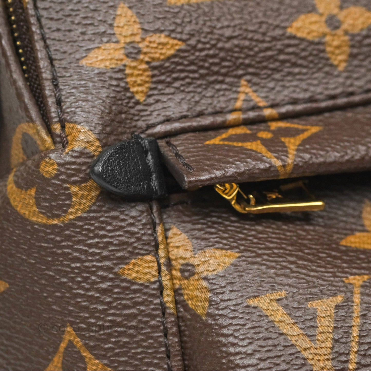 Louis Vuitton Mini Palm Springs Backpack⁣ Monogram Canvas