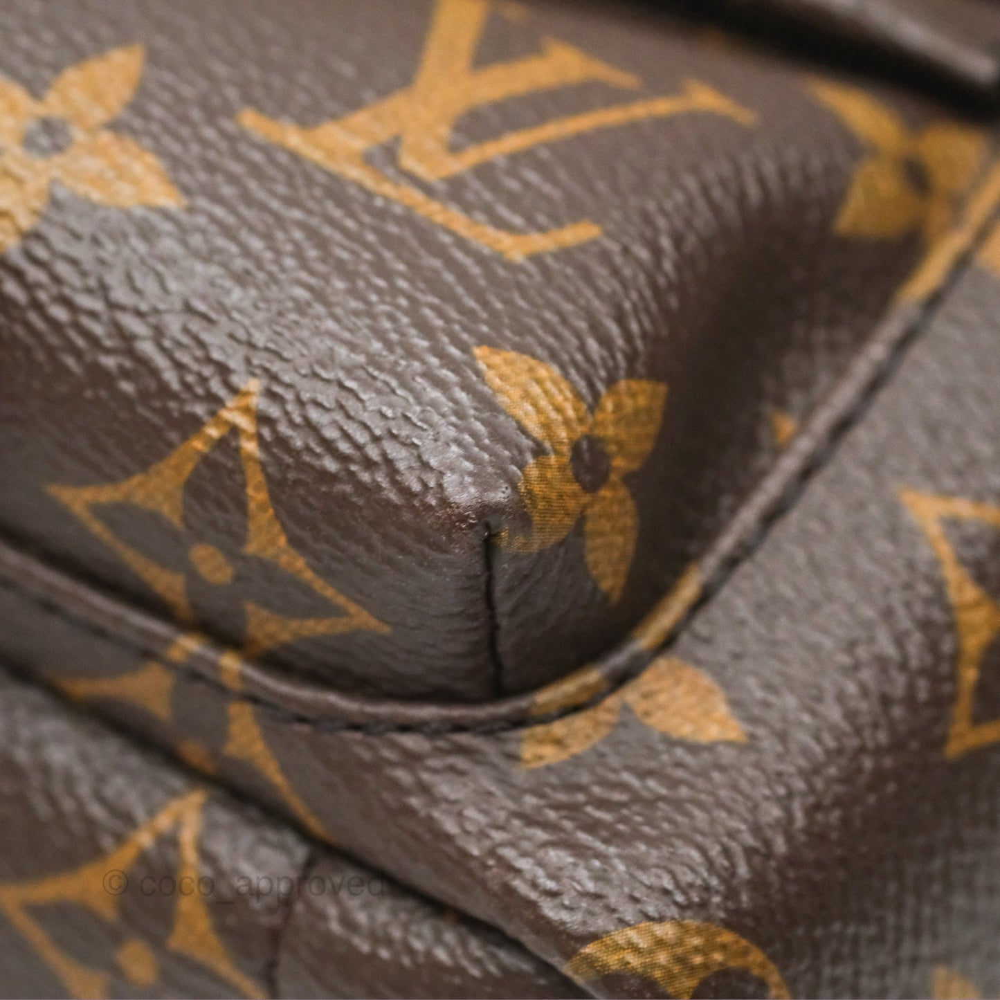 Louis Vuitton Mini Palm Springs Backpack⁣ Monogram Canvas