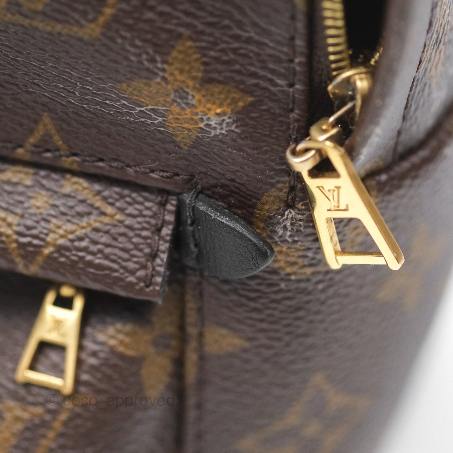 Louis Vuitton Monogram Mini Palm Springs Backpack⁣