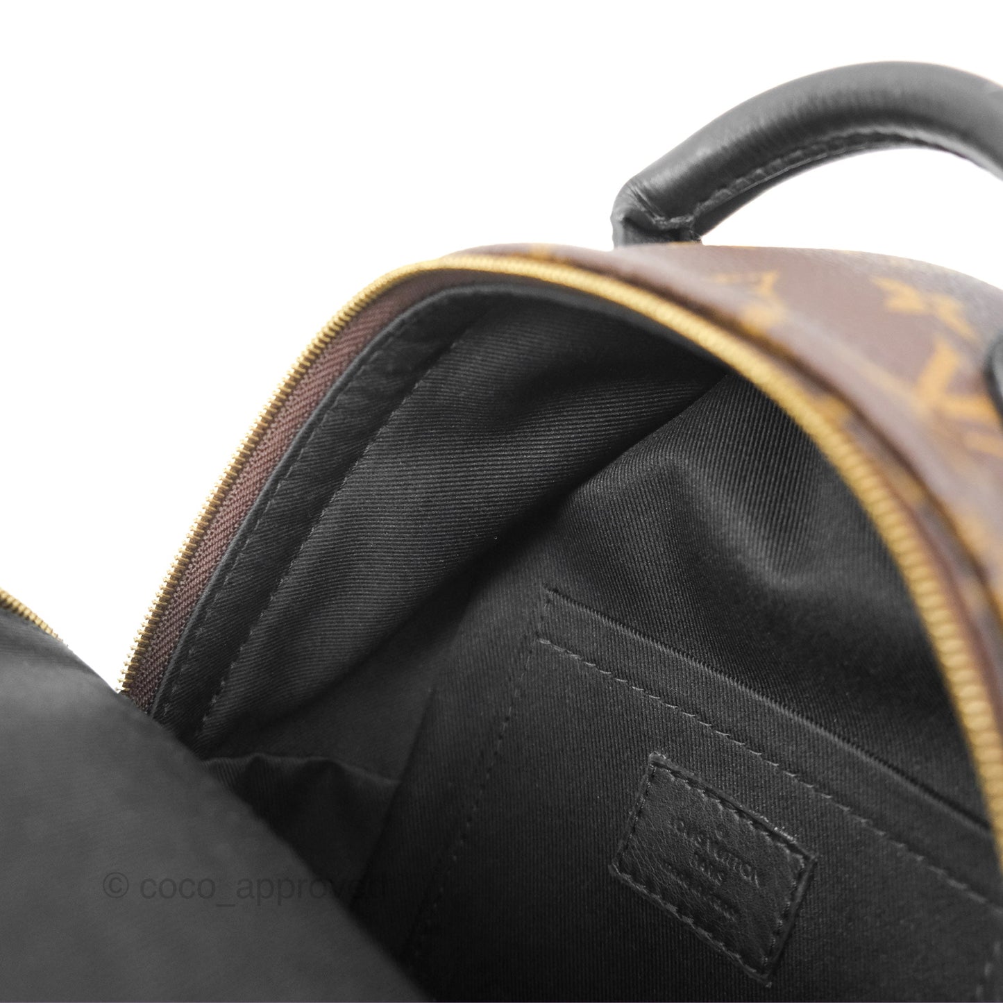 Louis Vuitton Mini Palm Springs Backpack⁣ Monogram