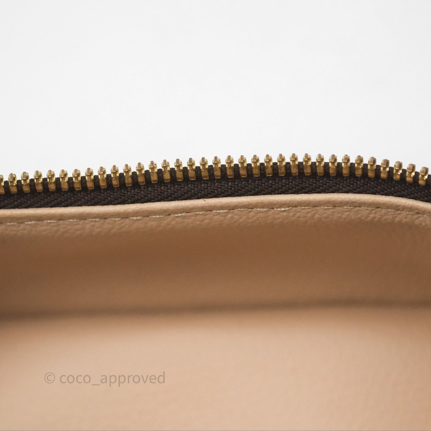 Louis Vuitton Monogram Nice Nano