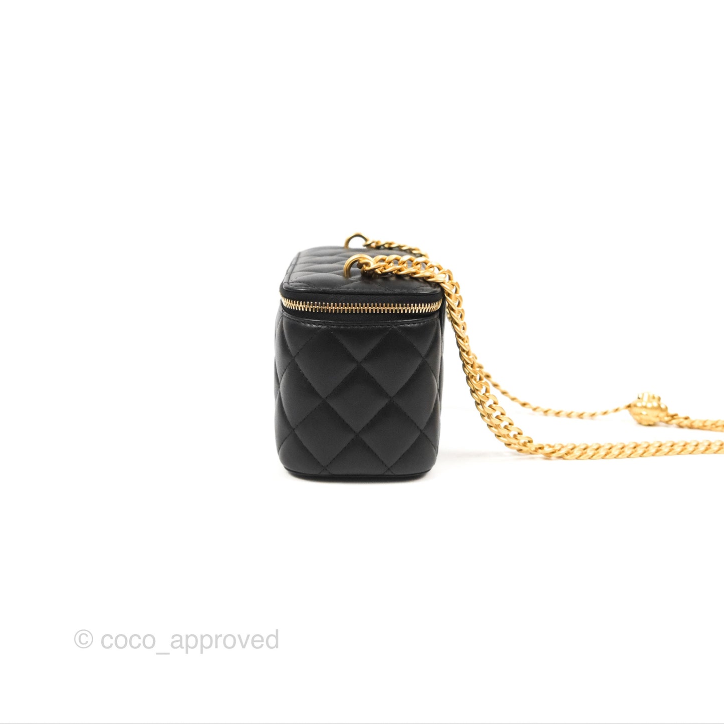 Chanel Quilted Vanity Rectangular with Camellia Adjustable Chain Black Lambskin 23S