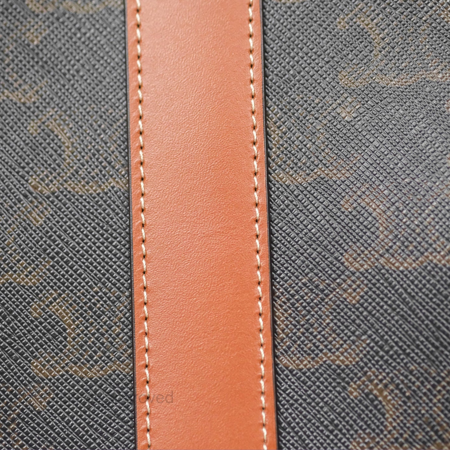 Celine Small Bucket Triomphe Canvas Tan Calfskin
