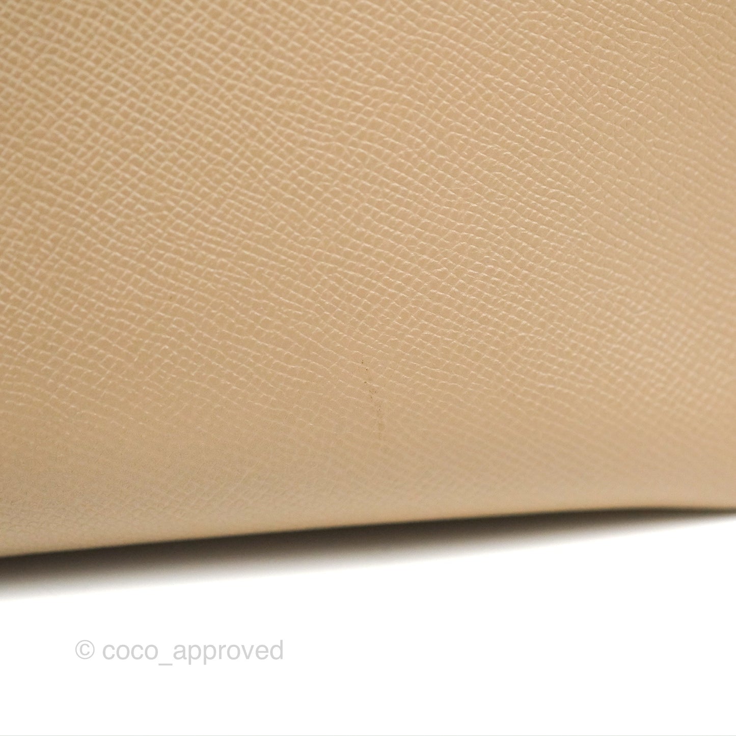 Celine Mini Belt Bag Light Taupe Grained Calfskin Gold Hardware