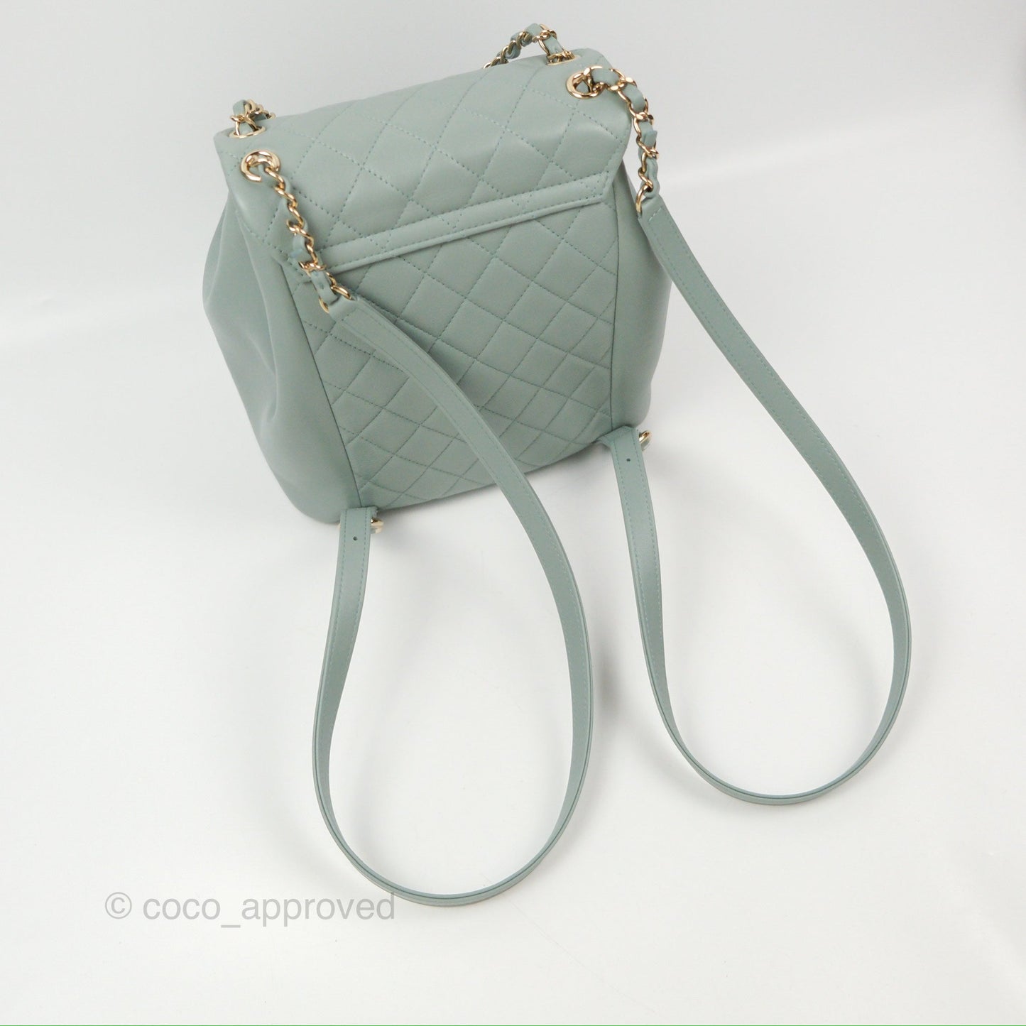 Chanel Quilted Large Duma Drawstring Backpack Tiffany Green Lambskin 23C