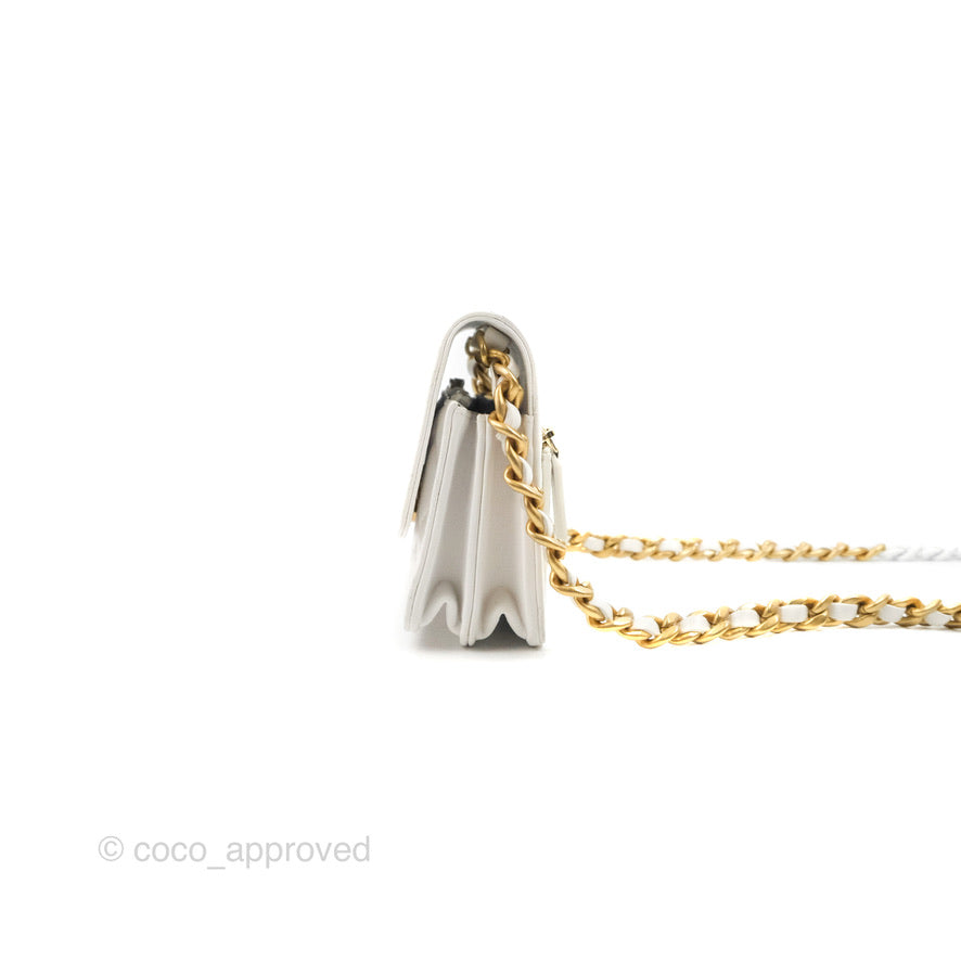 Chanel Mini Resin Chain Wallet on Chain WOC White Lambskin Gold Hardware