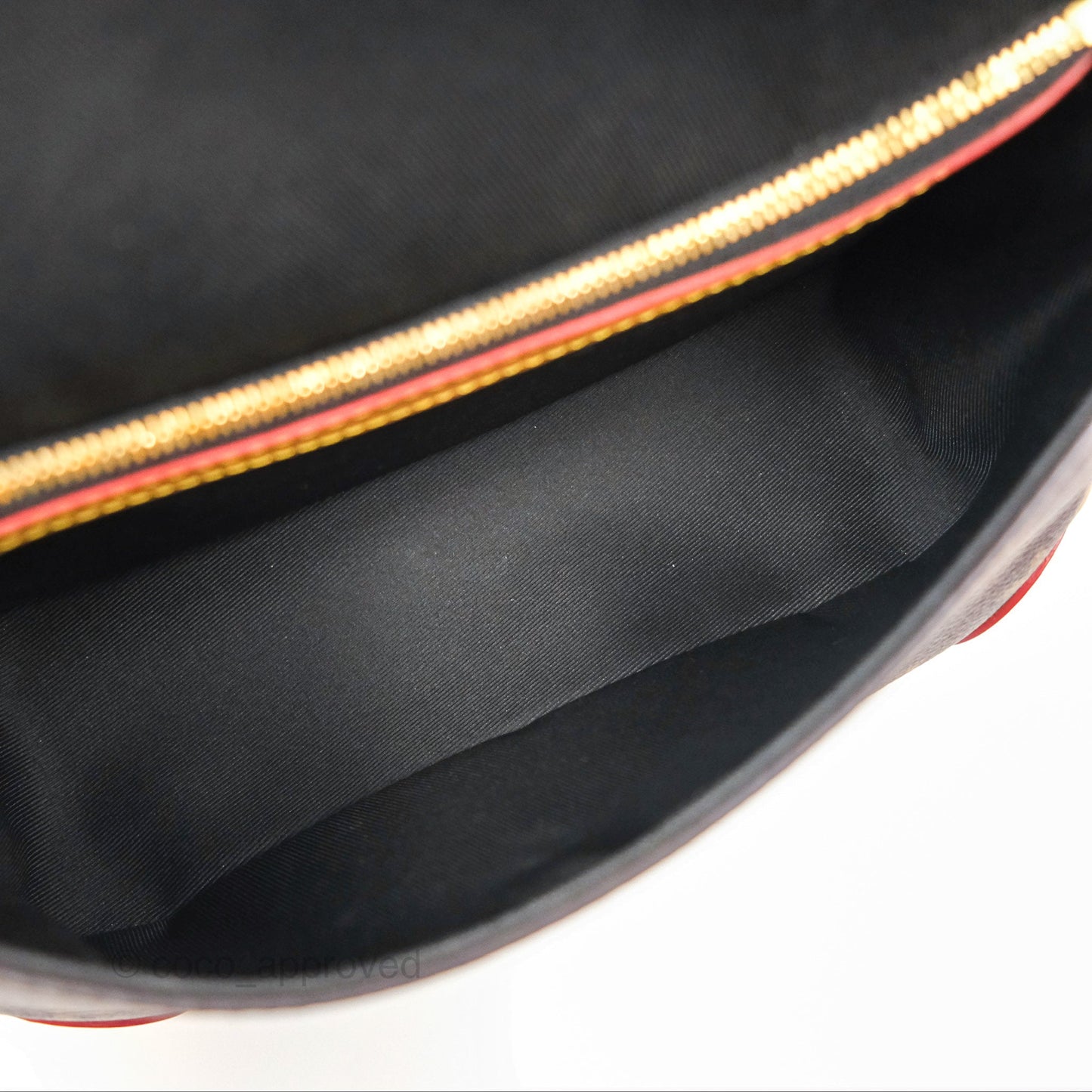 Louis Vuitton Diane Bag Monogram Canvas with Jacquard Strap