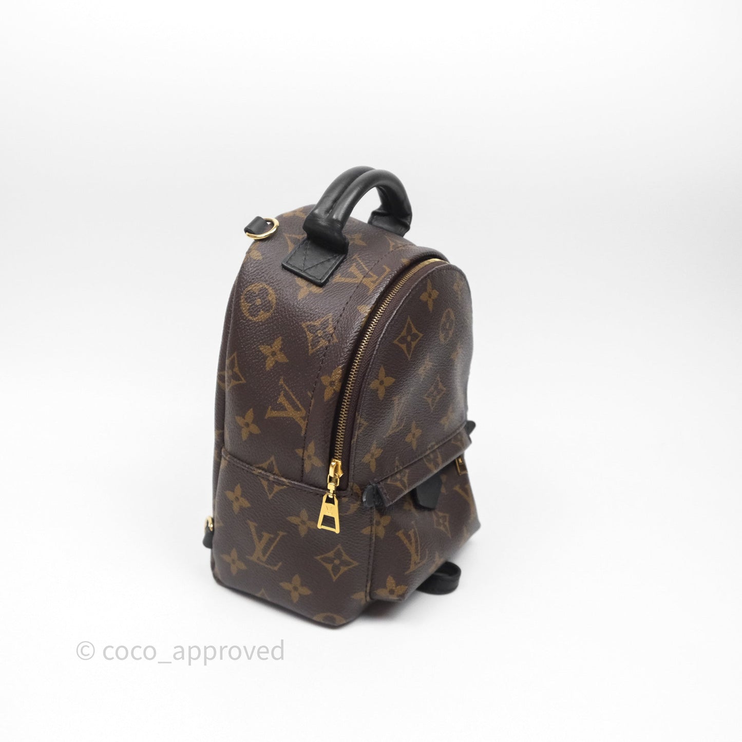 Louis Vuitton Mini Palm Springs Backpack⁣ Monogram