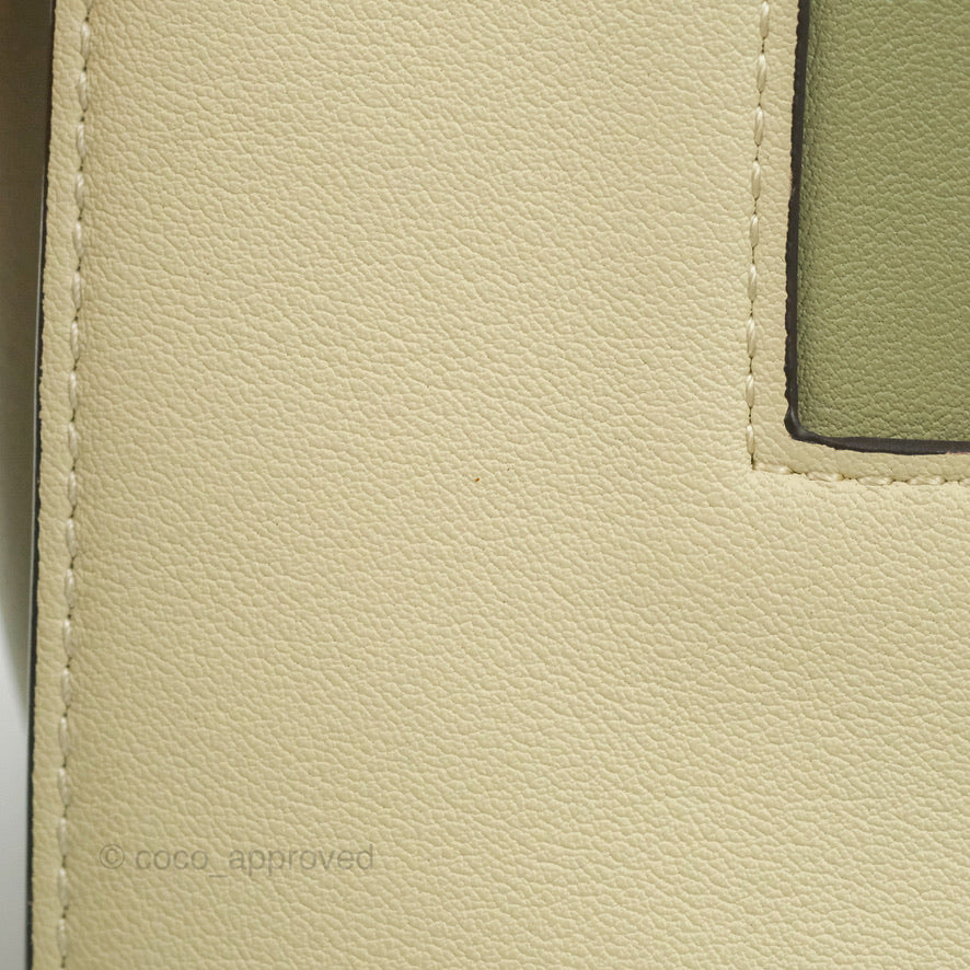 Celine Frame Bag Light Green