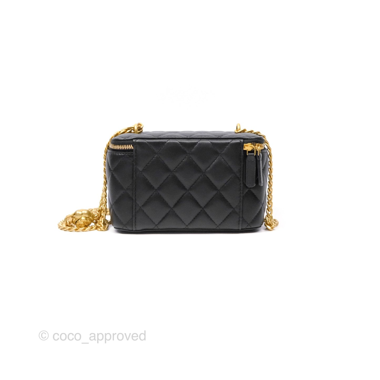 Chanel Quilted Vanity Rectangular with Camellia Adjustable Chain Black Lambskin 23S