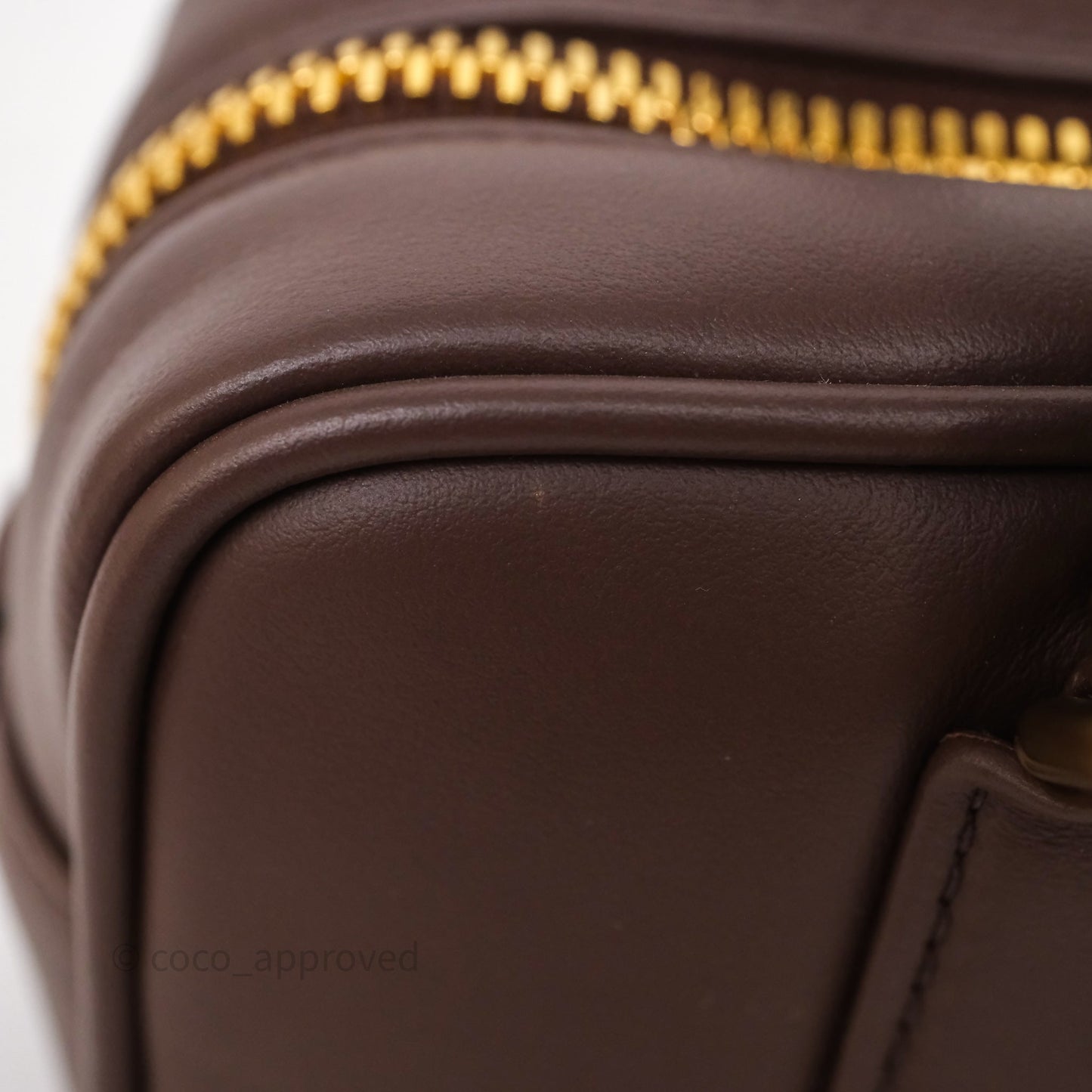 Miu Miu Arcadie Leather Bag Briarwood