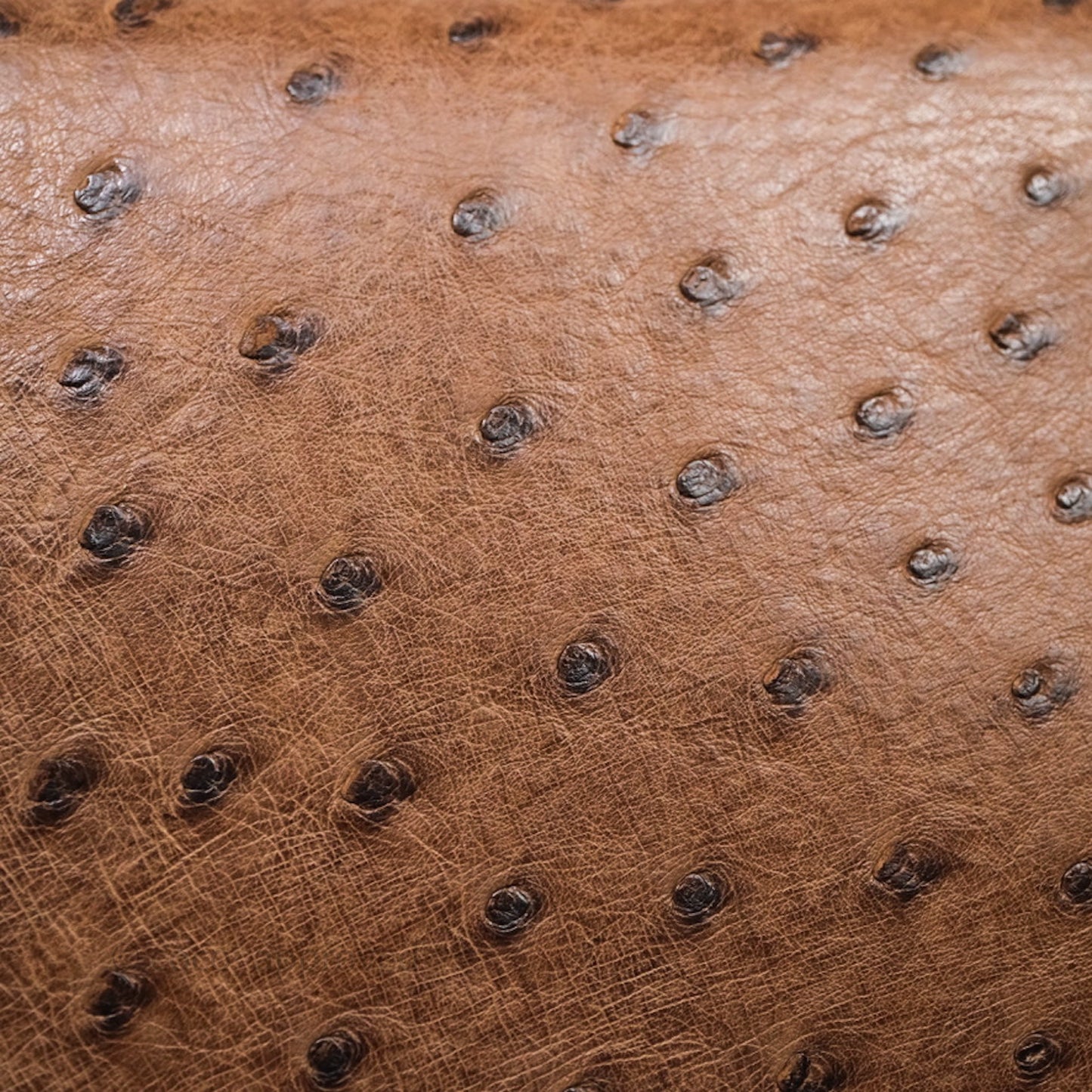 Hermès Kelly 28 Chocolate Ostrish Sellier Gold Hardware