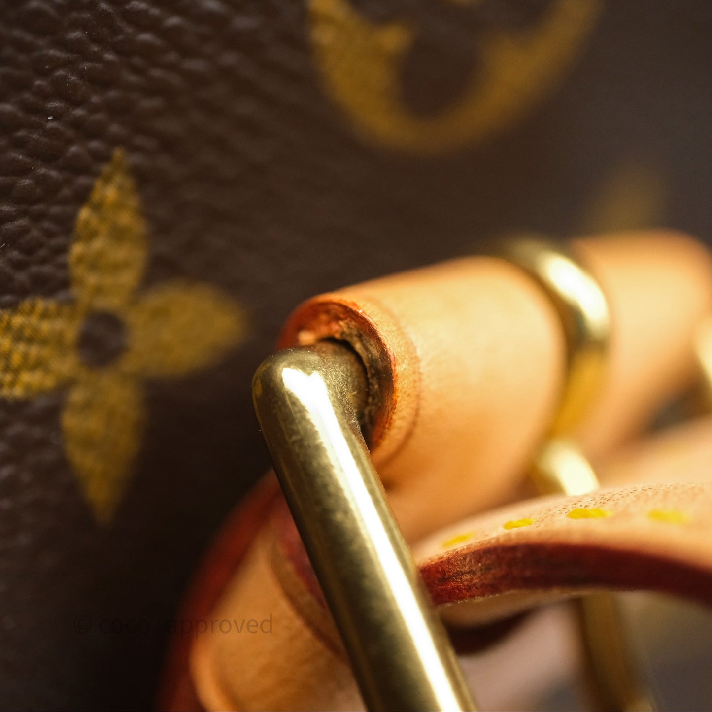 Louis Vuitton Multipli-Cite Tote Monogram Canvas