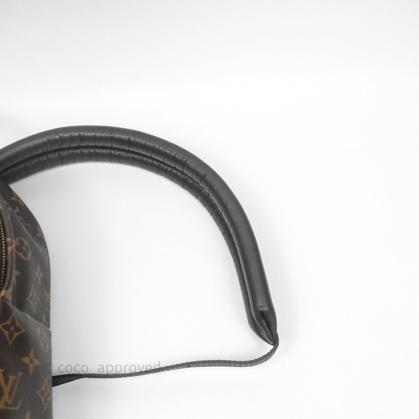 Louis Vuitton Palm Springs Backpack⁣ Monogram PM