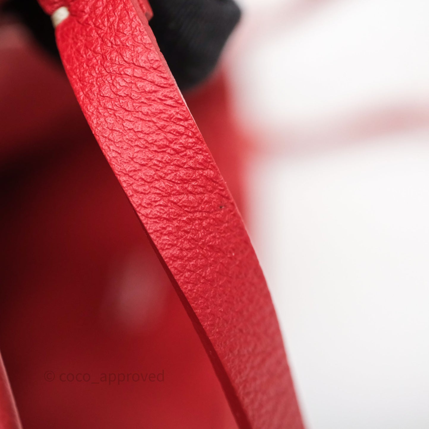 Goyard Anjou Mini Tote Bag Red Goyardine Canvas