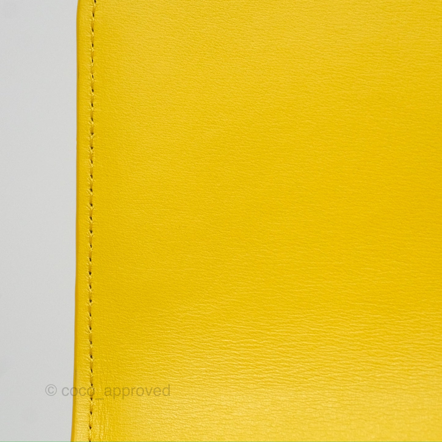 Loewe Small Goya Bag Yellow Silk Calfskin