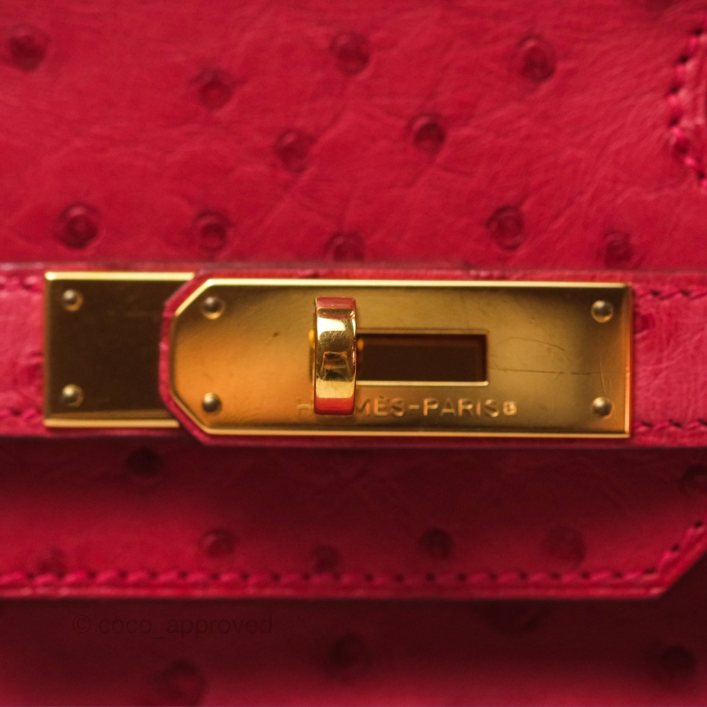 Hermès Birkin Retourne 30 Bougainvillea Ostrich Gold Hardware
