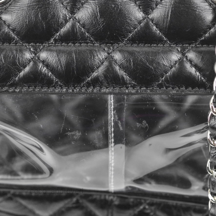 Chanel Aquarium PVC Backpack Black Crumpled Calfskin Silver Hardware