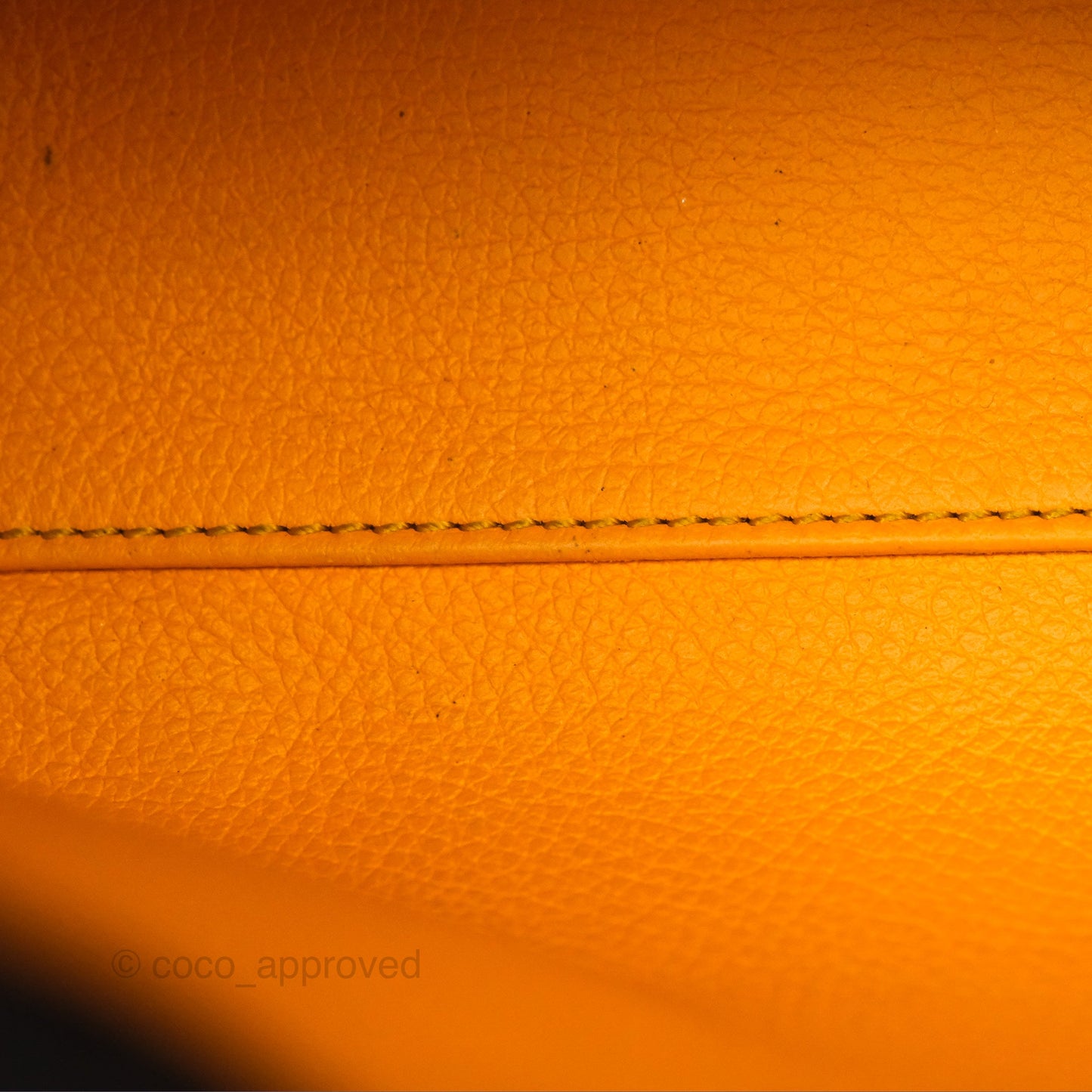 Goyard Saïgon Mini Bag Tan Goyardine Canvas/Chevroches Calfskin
