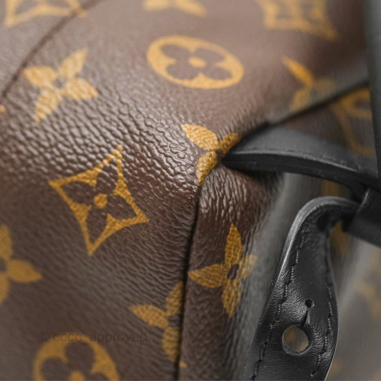 Louis Vuitton Palm Springs Backpack⁣ Monogram PM