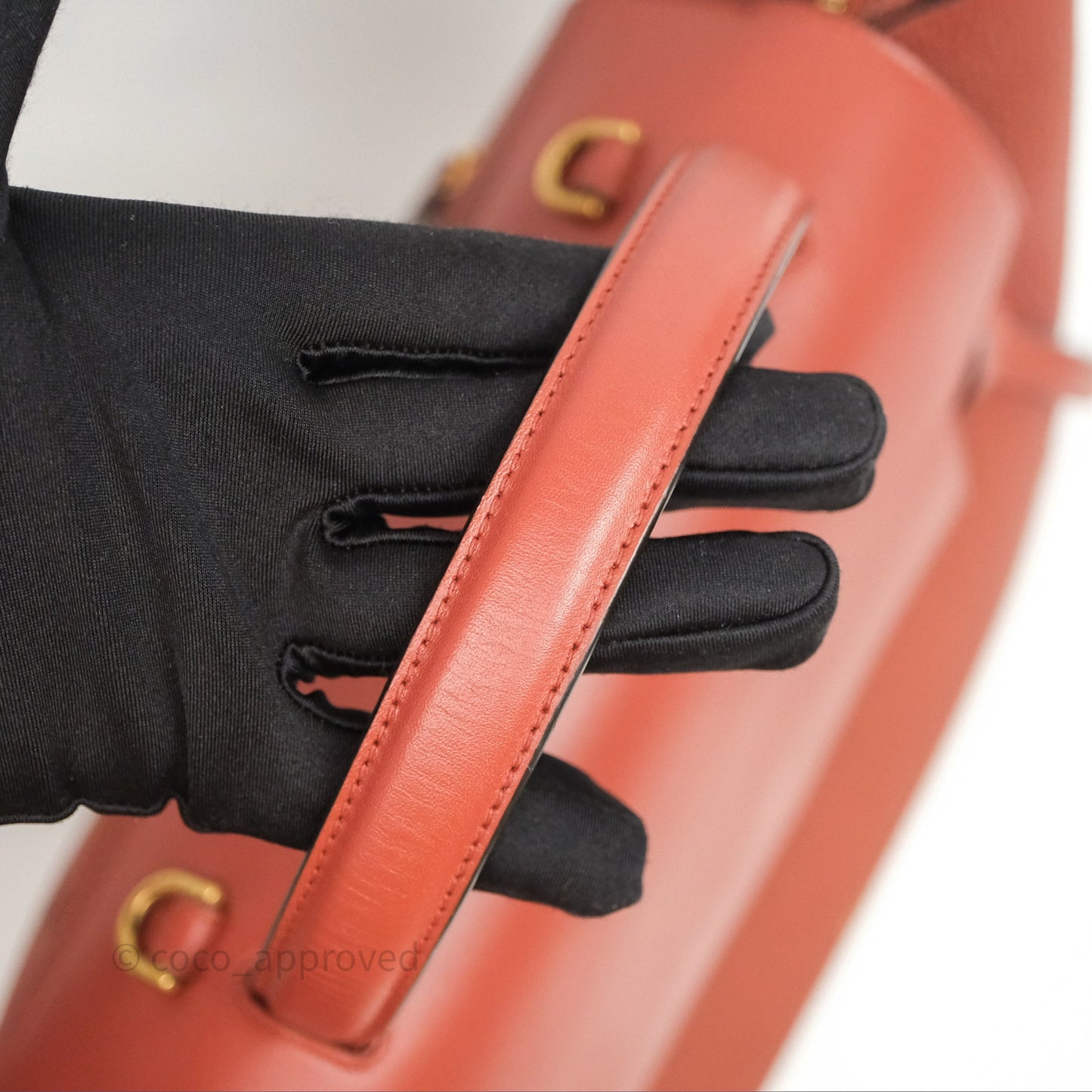 Celine Mini Belt Bag Brick Red Grained Goatskin Gold Hardware
