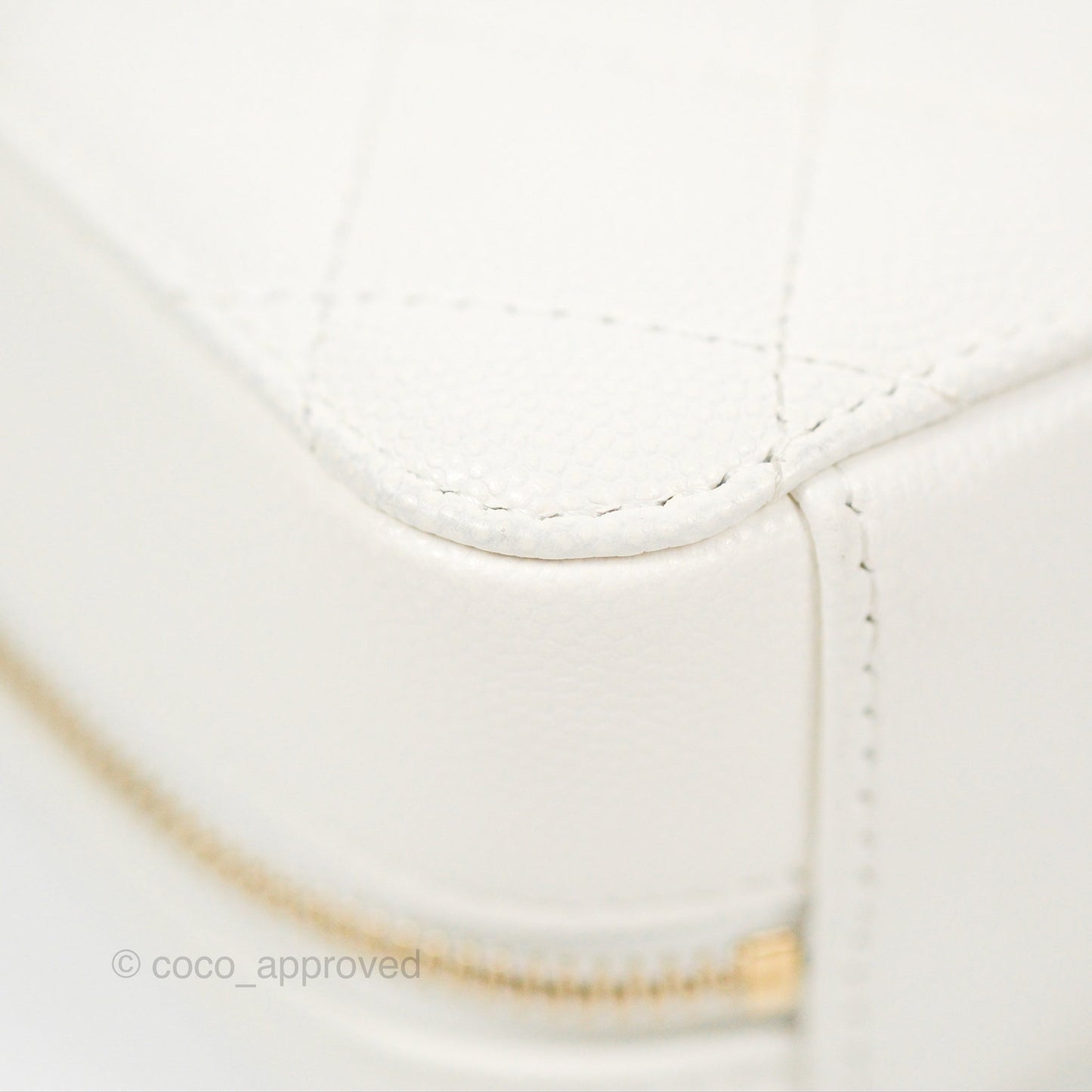 Chanel Mini Quilted Camera Case White Caviar Gold Hardware