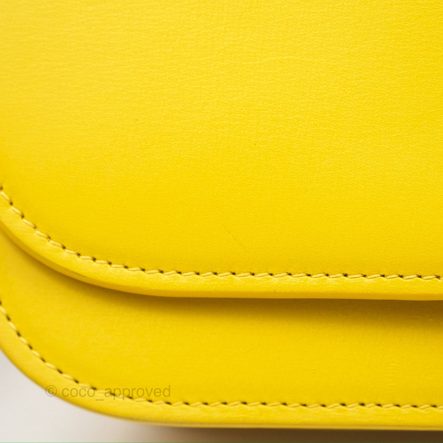 Loewe Small Goya Bag Yellow Silk Calfskin