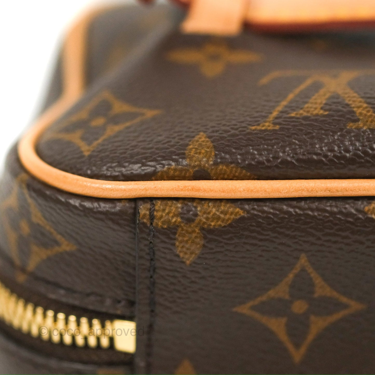 Louis Vuitton Nice Mini Monogram Canvas