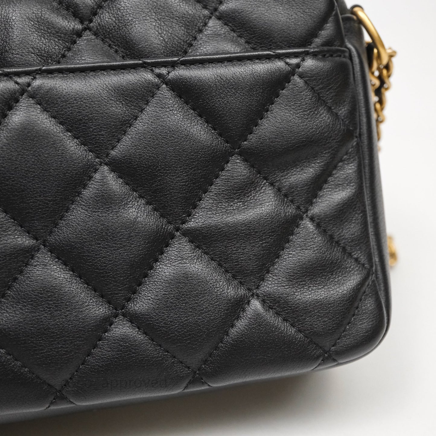 Chanel Small Camera Case Quilted Black Calfskin Aged Gold Hardware 22C