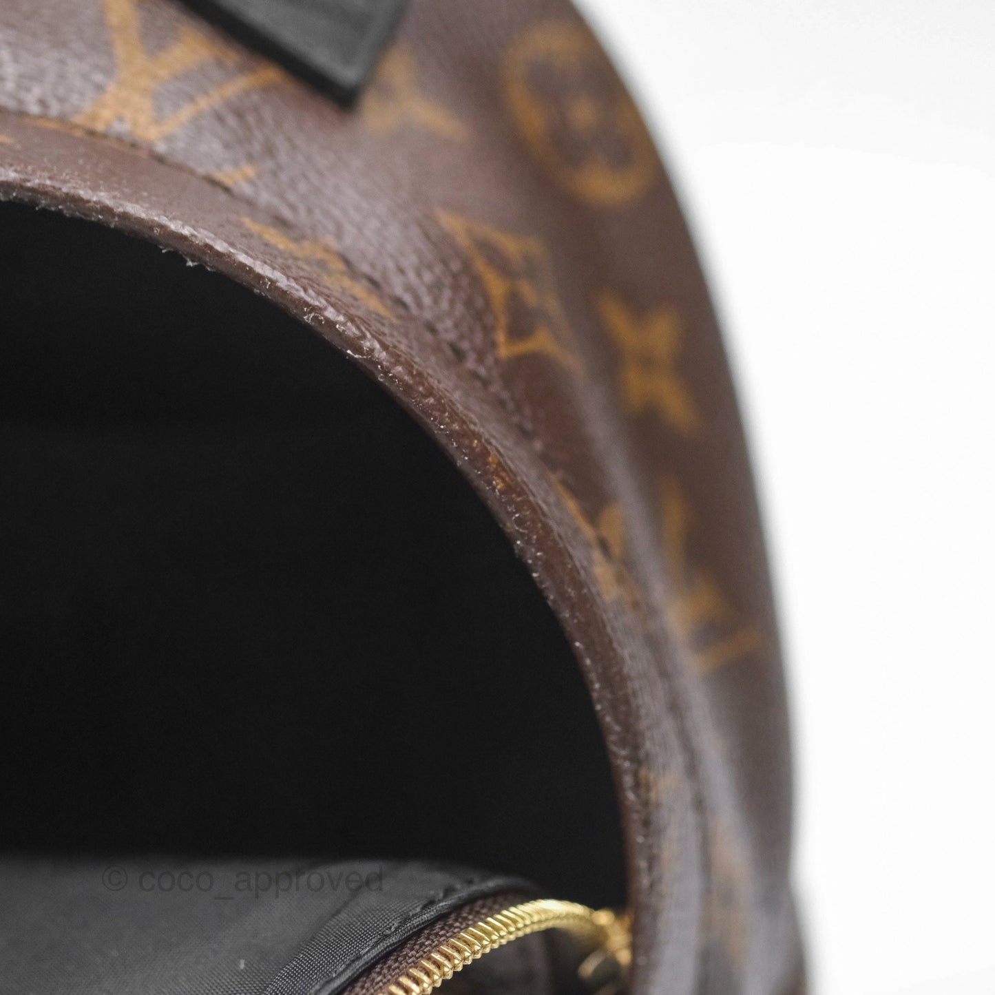 Louis Vuitton Monogram Mini Palm Springs Backpack⁣