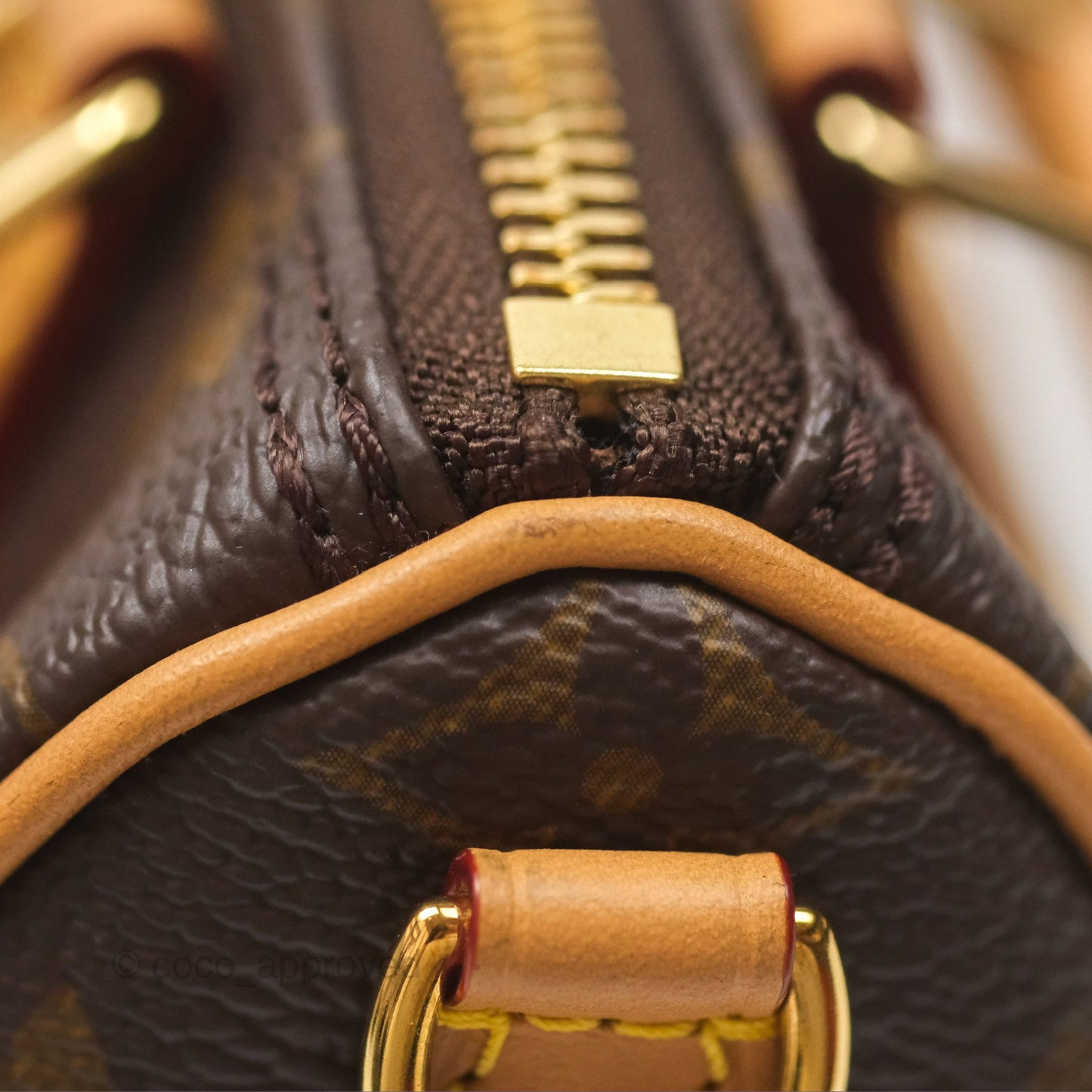 Louis Vuitton Nano Speedy Monogram